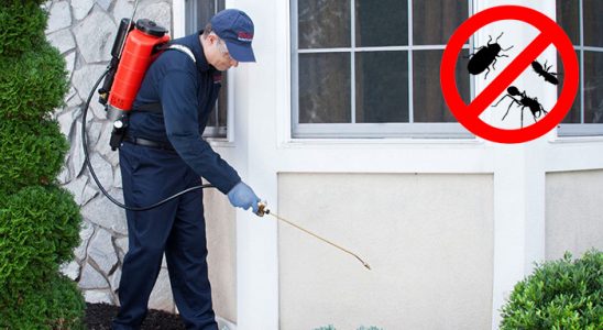 Şuhut Hamam Böceği İlaçlama böcek ilaçlama ve haşere kontrolü — ilaclama-tr.com